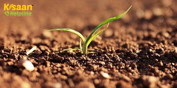 Soil fertility management by organic farming